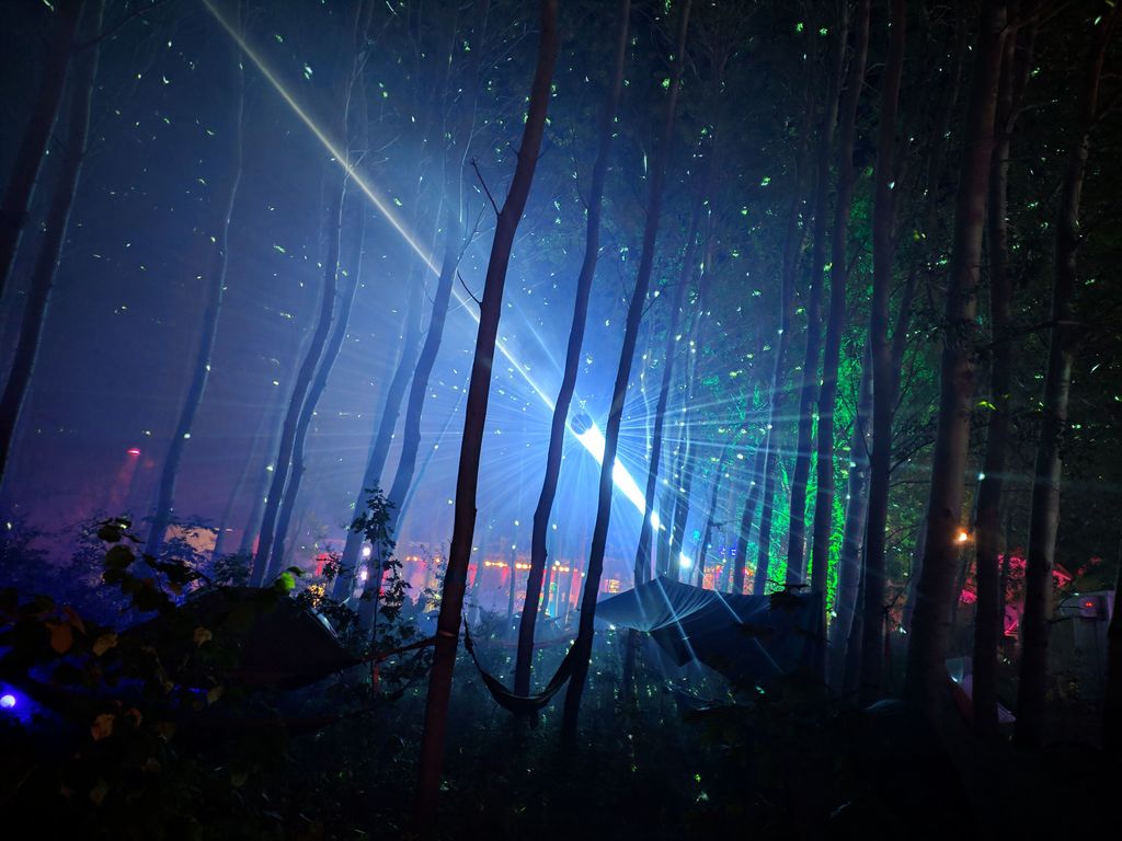 Leuchtender Wald